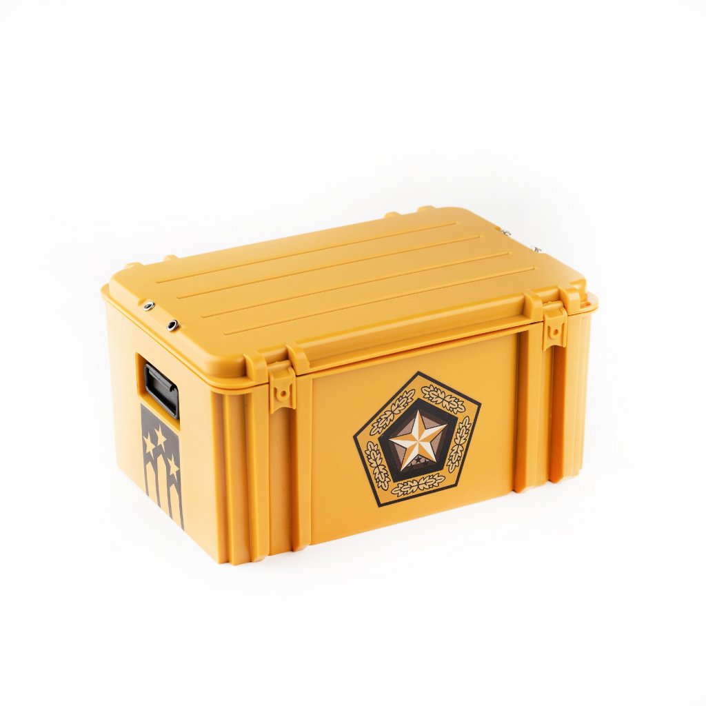 Gamma Case - empty
