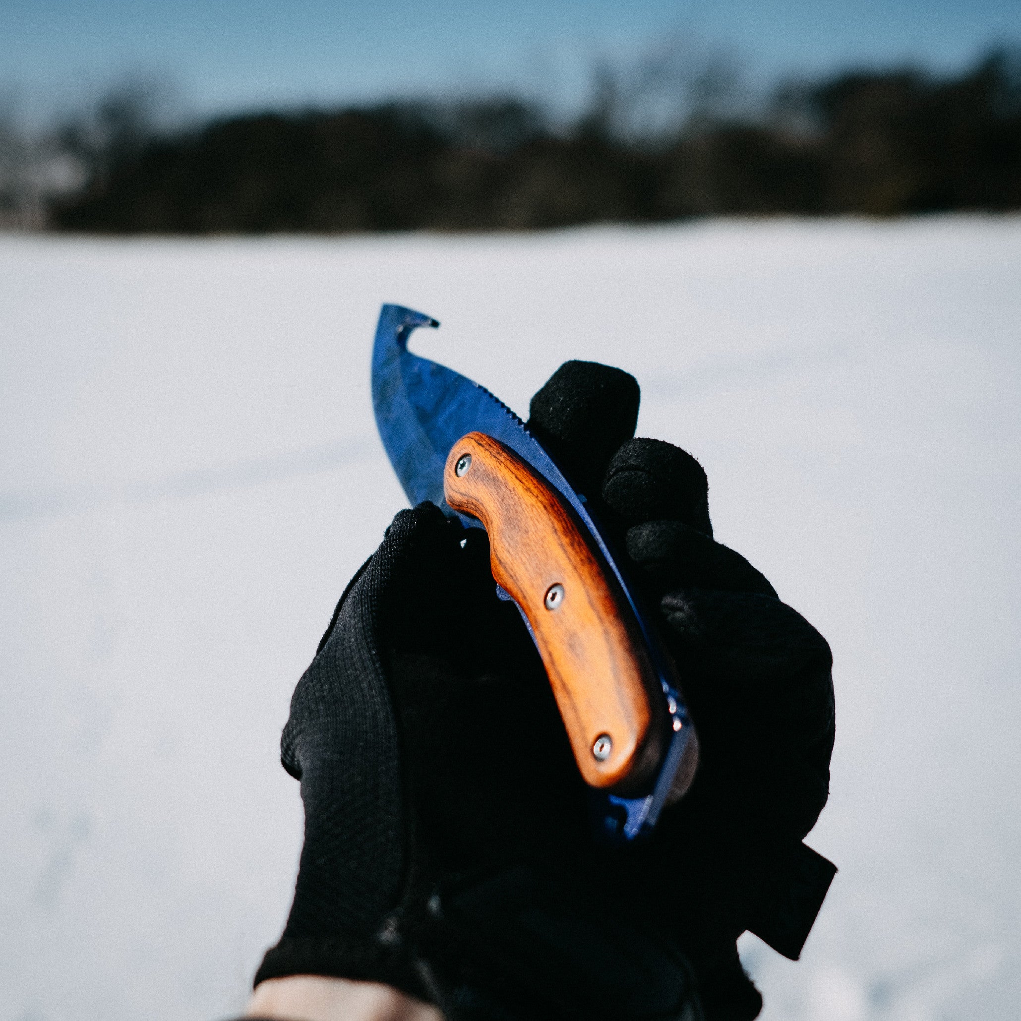 Gut knife Sapphire