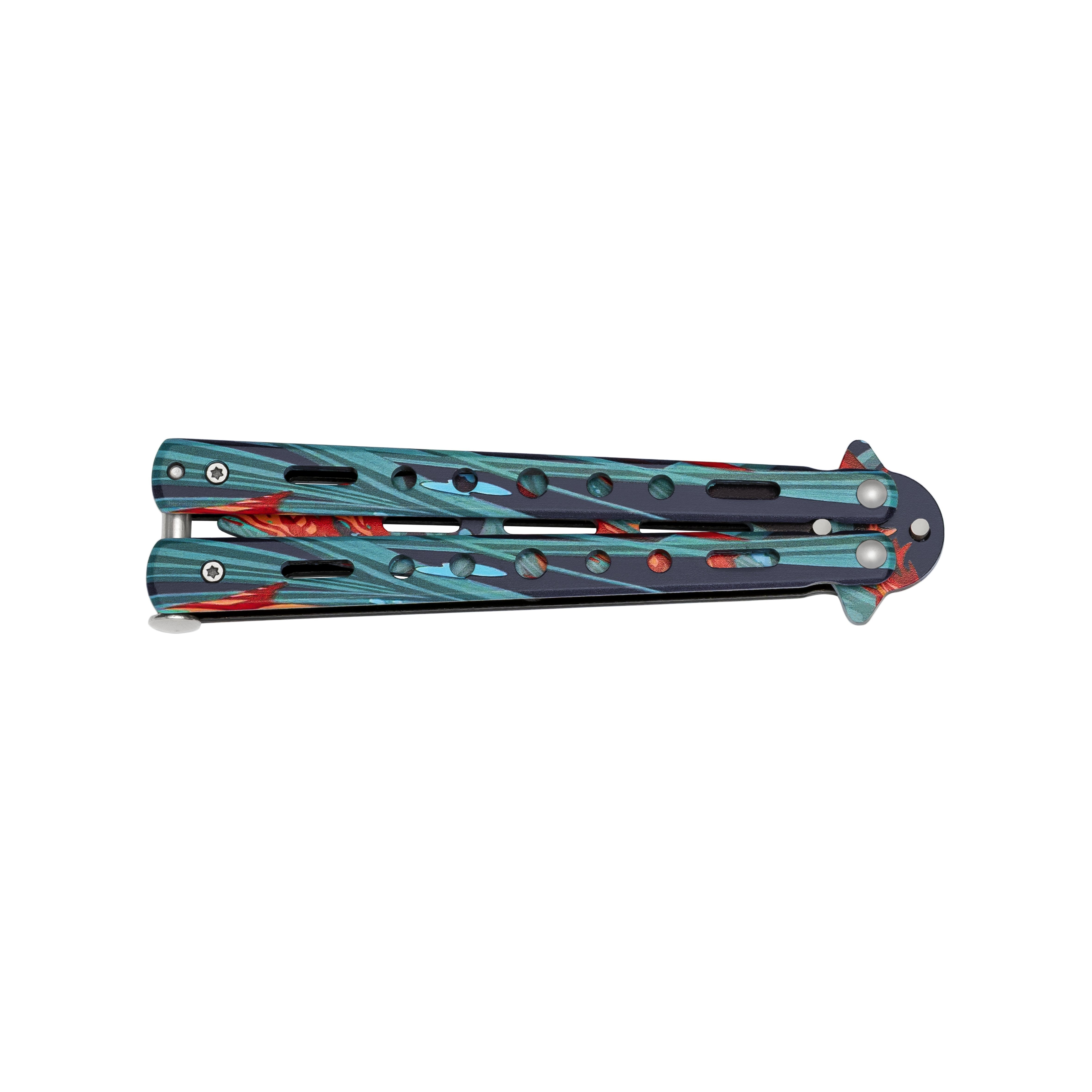 Butterfly Advanced trainer Aqua Koi