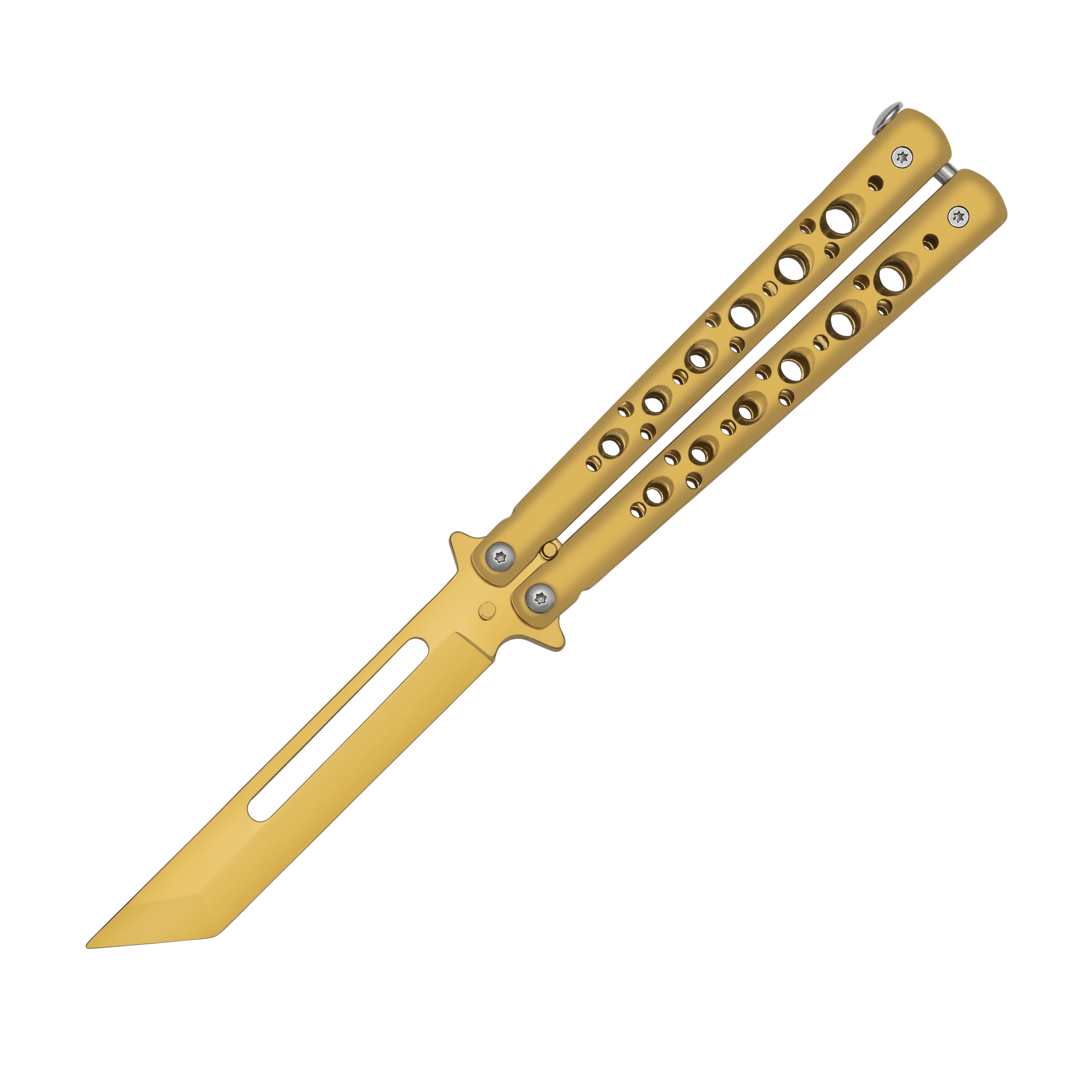 Butterfly Basic trainer Gold