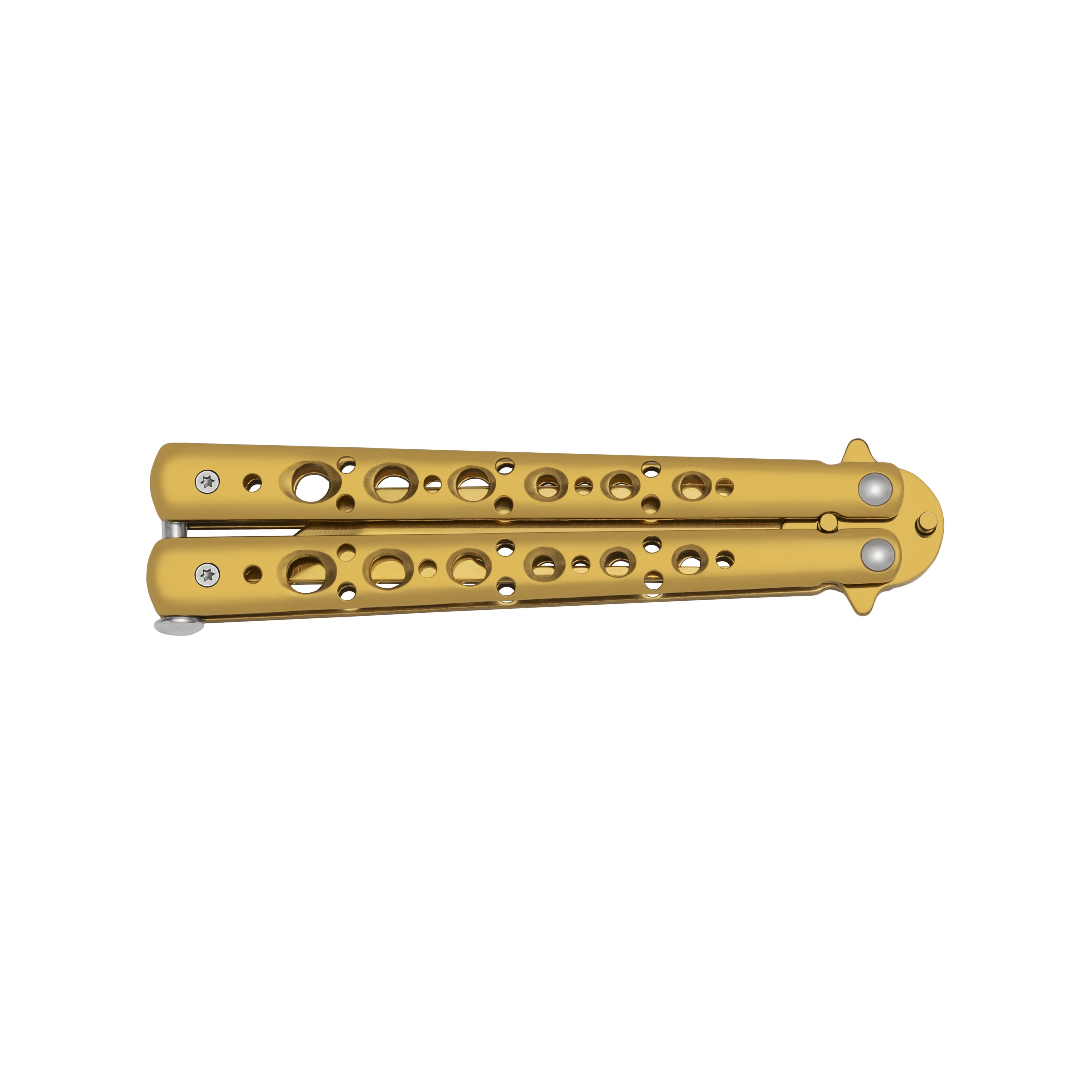 Butterfly Basic trainer Gold